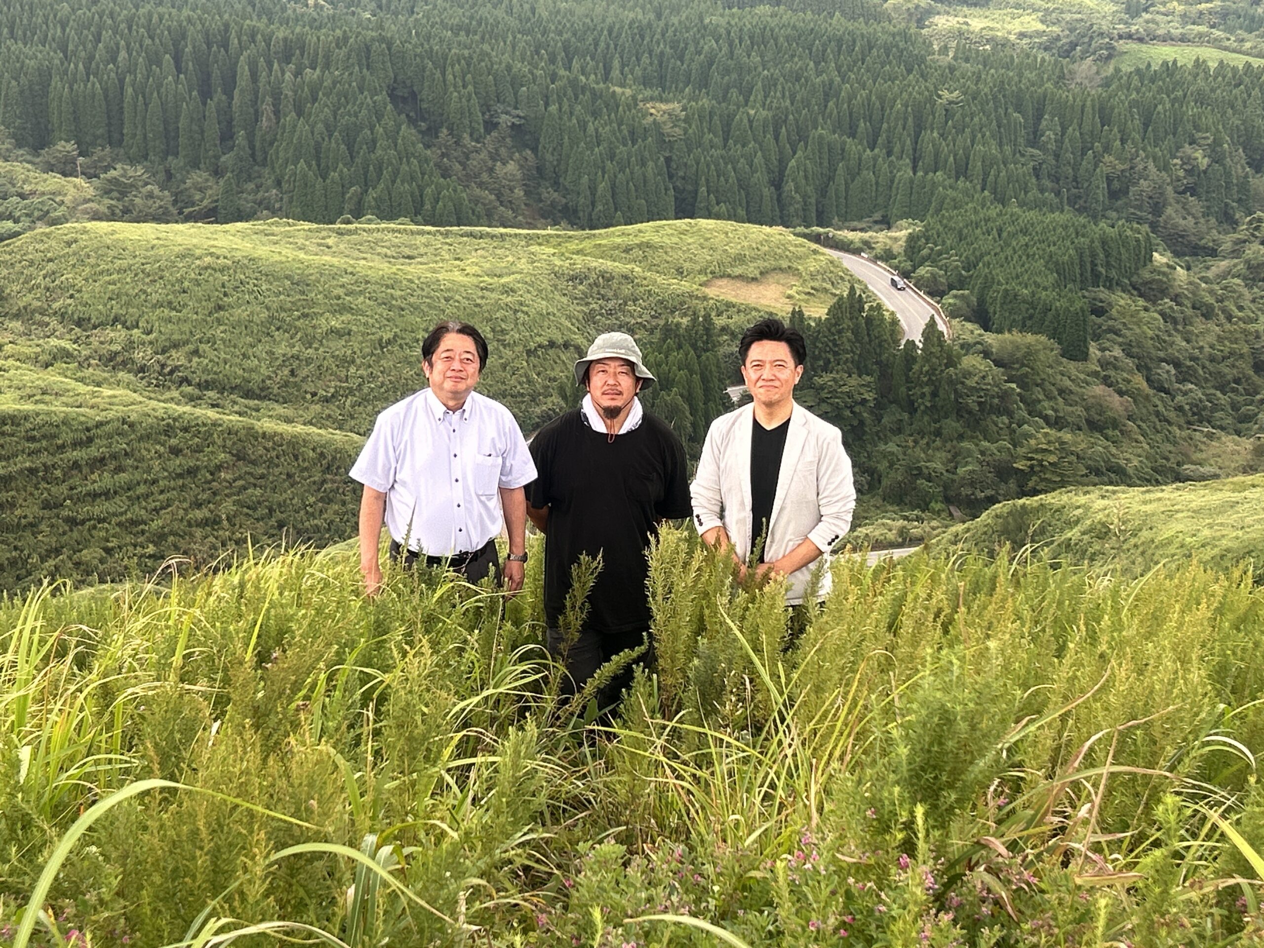 阿蘇さとう農園の放牧地